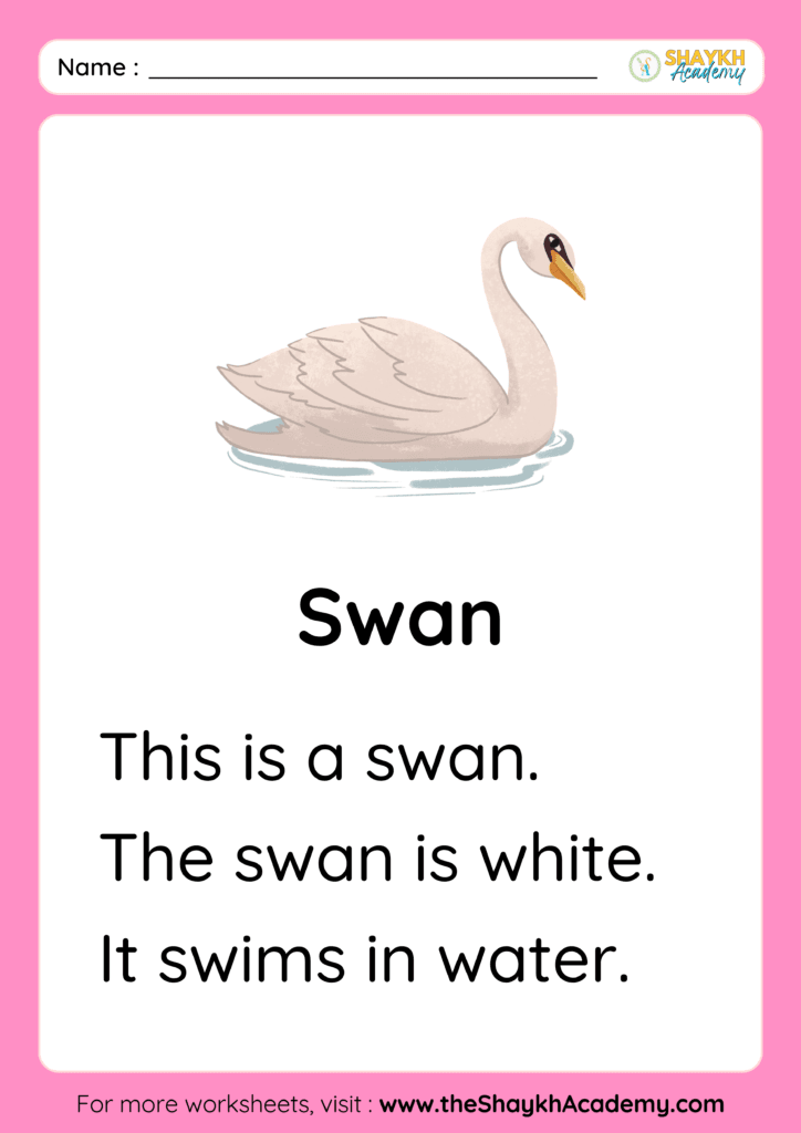 Swan