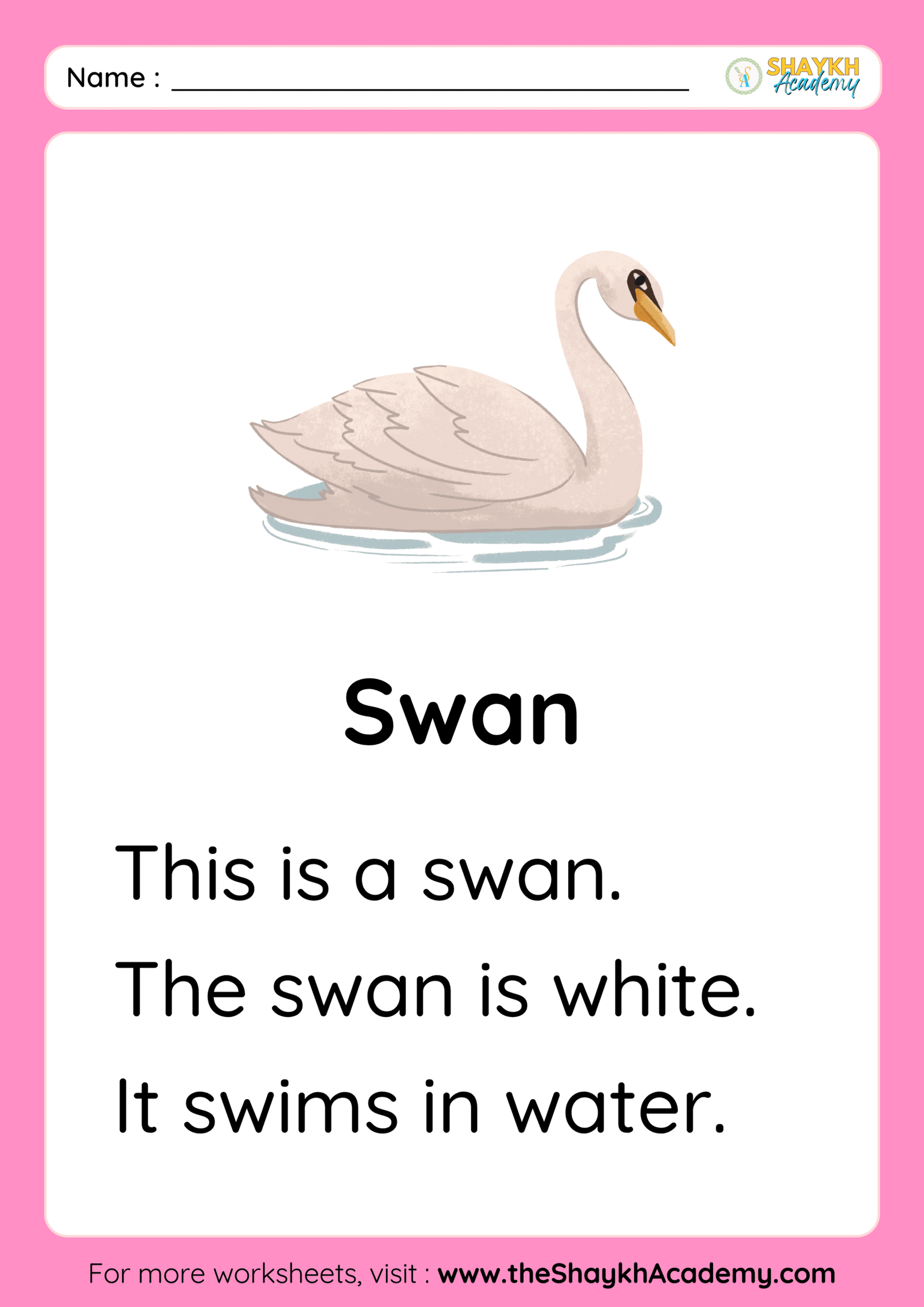 Swan
