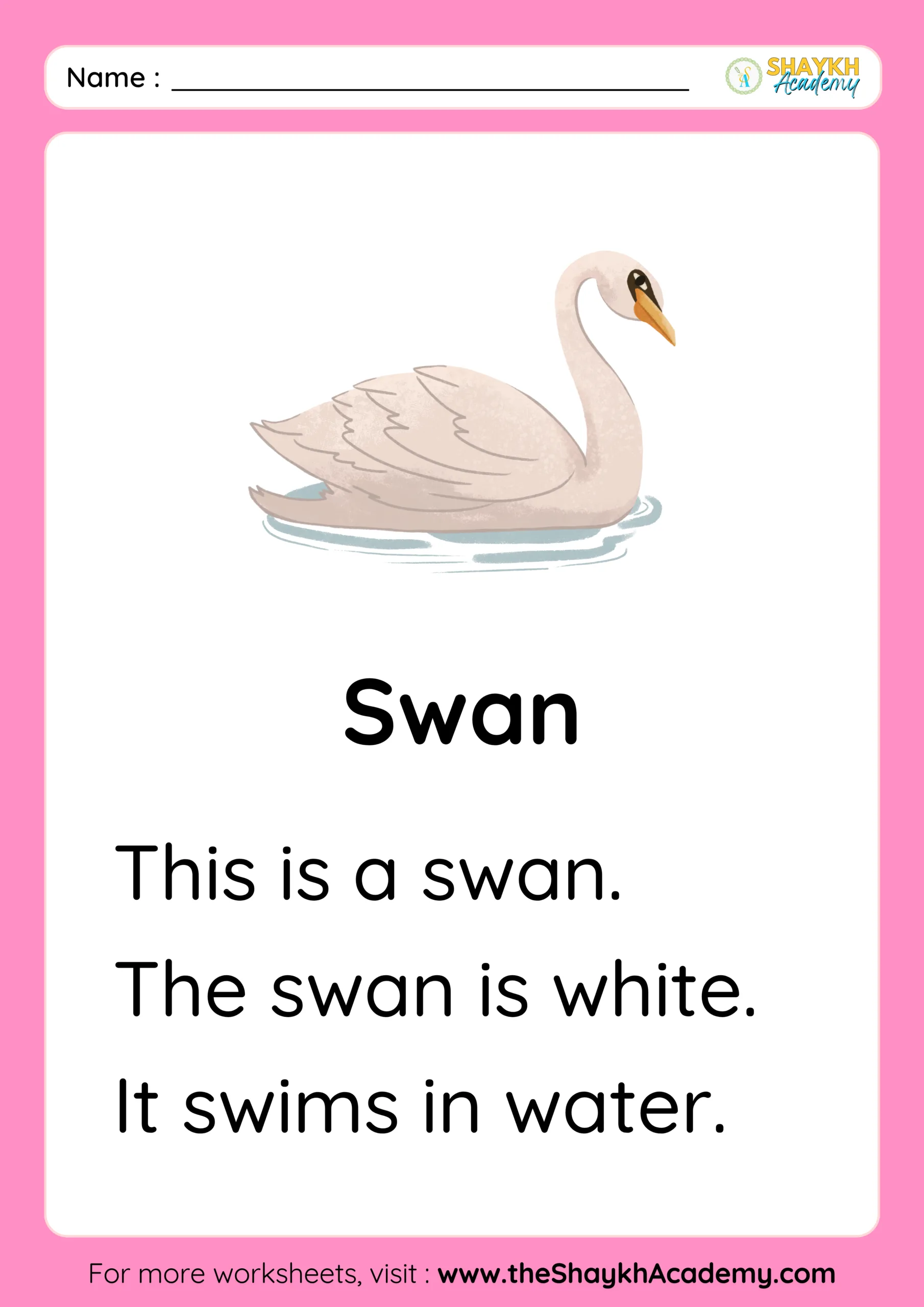 Swan