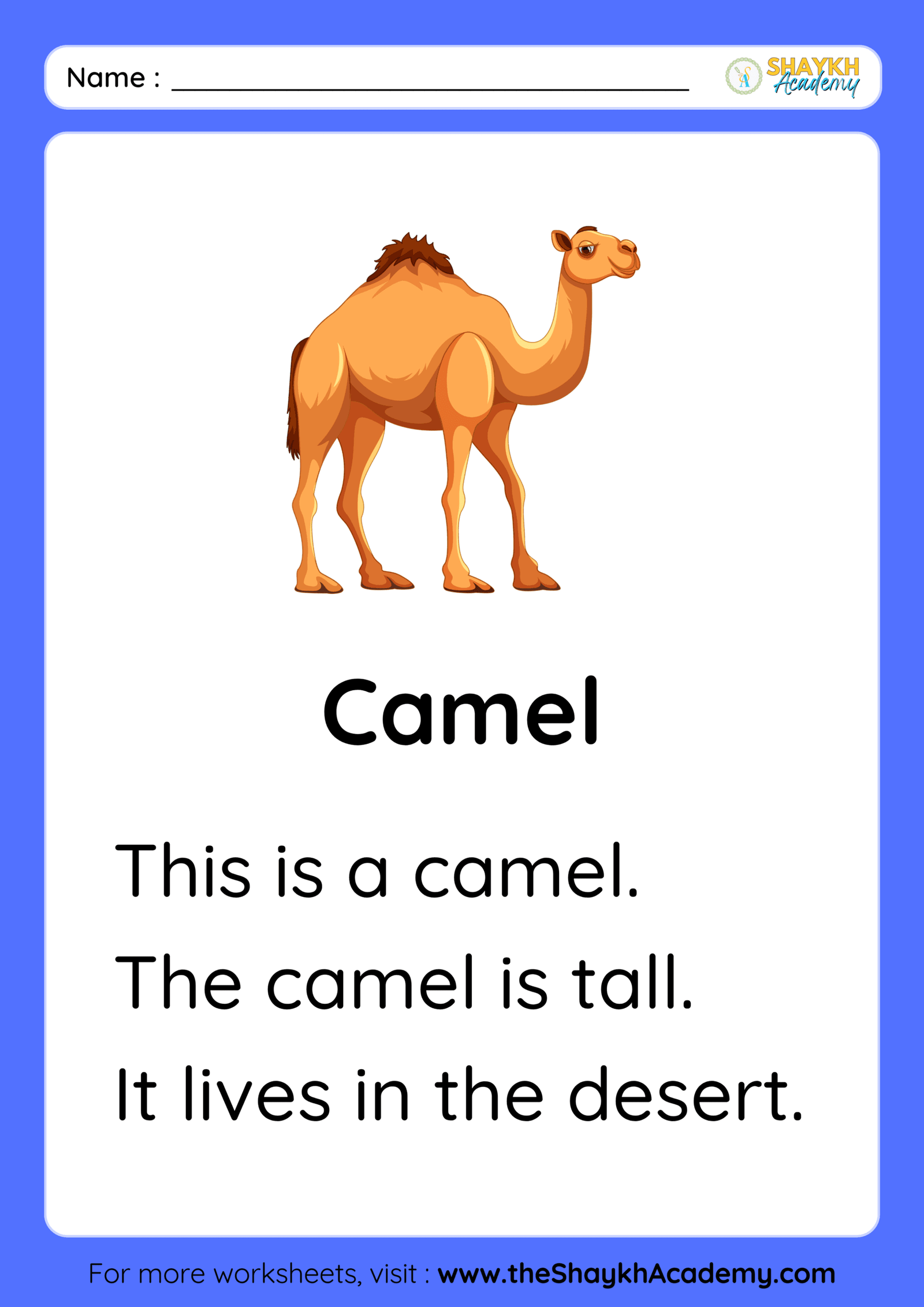 Camel