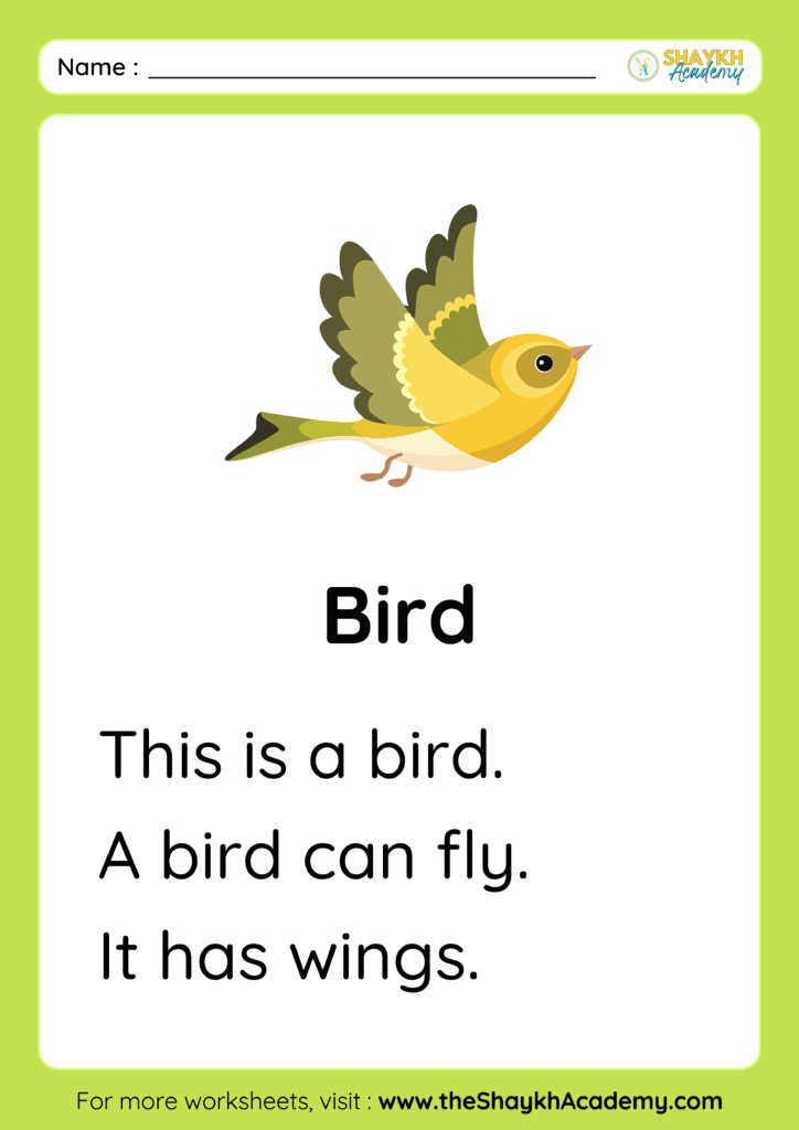 Bird