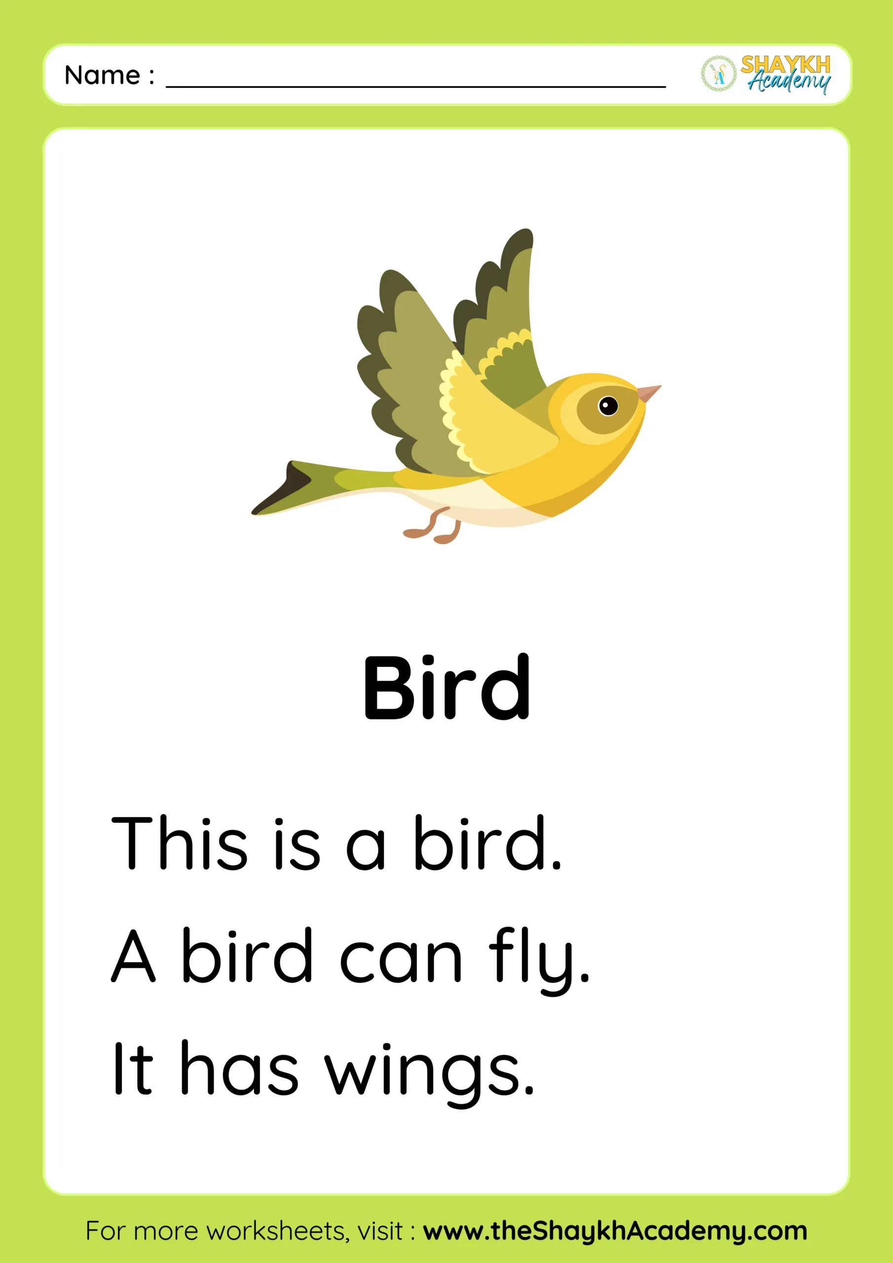 Bird