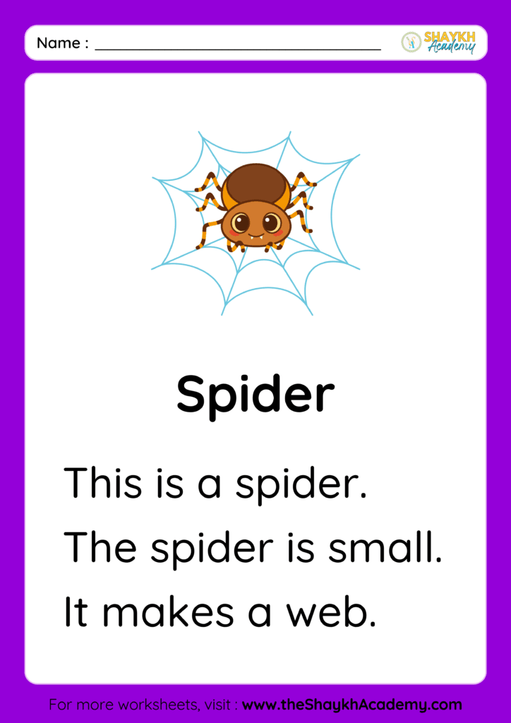 Spider