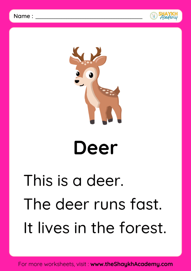 Deer