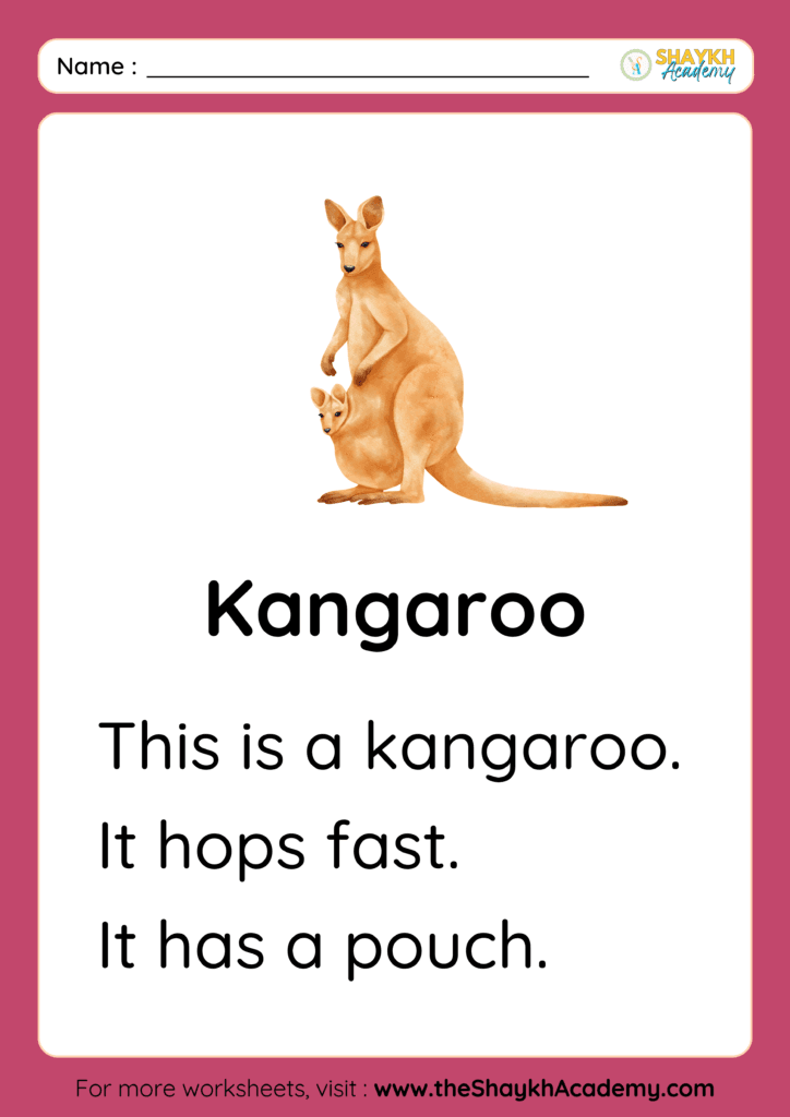 Kangaroo