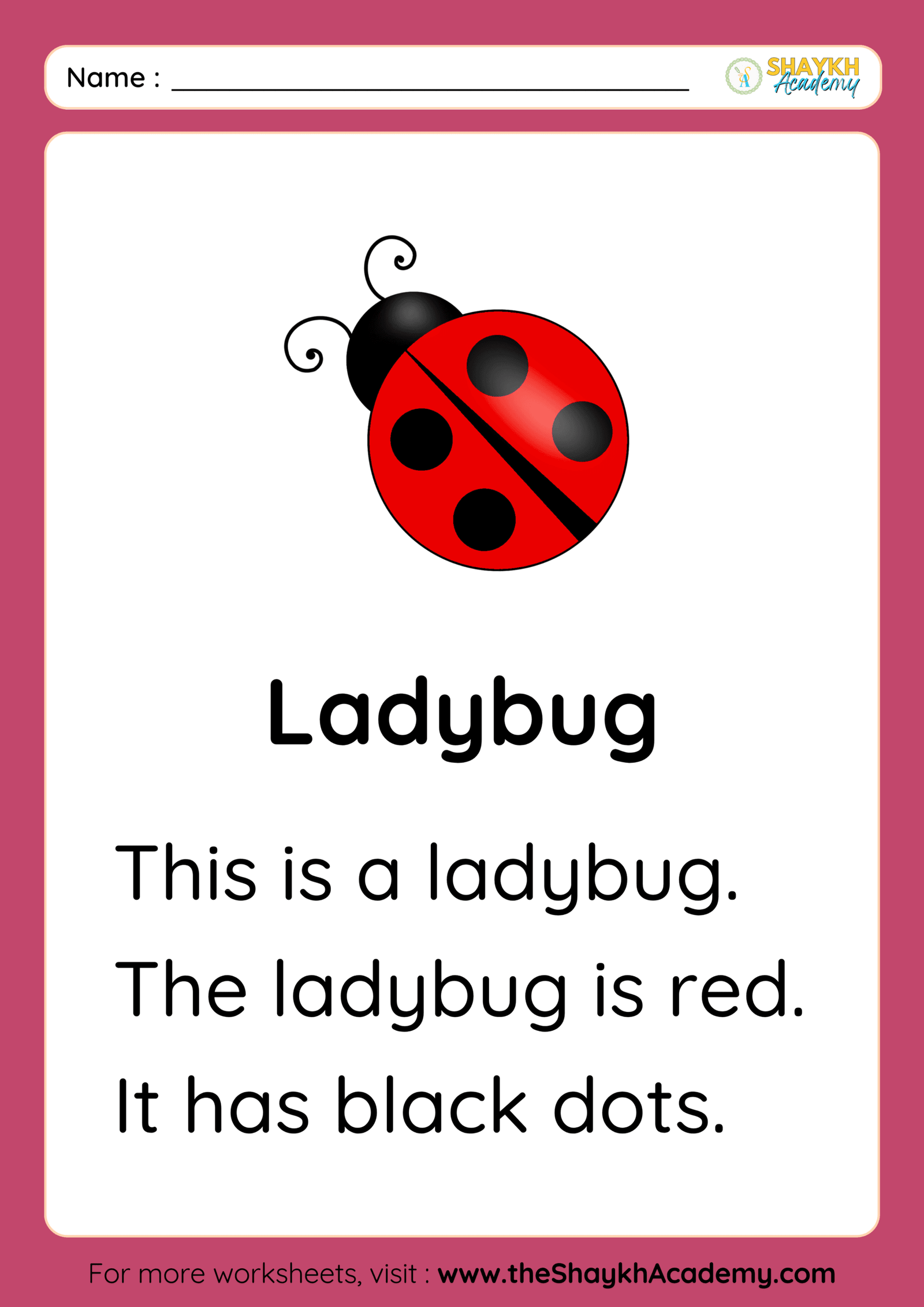 Ladybug