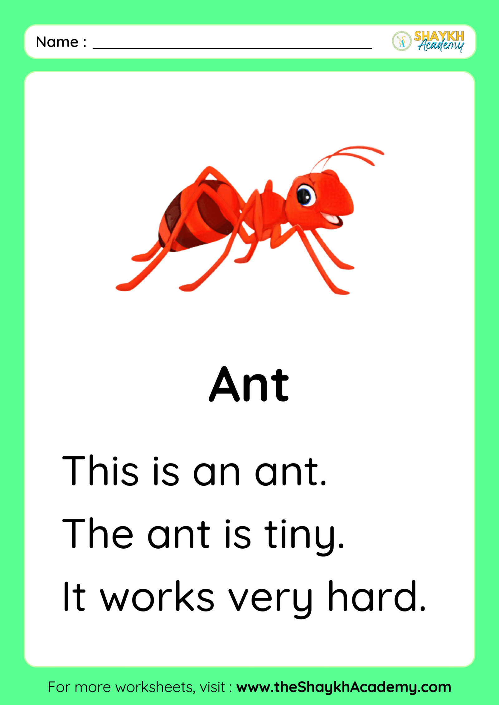 Ant