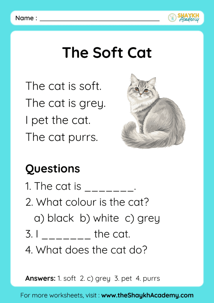 The Soft Cat