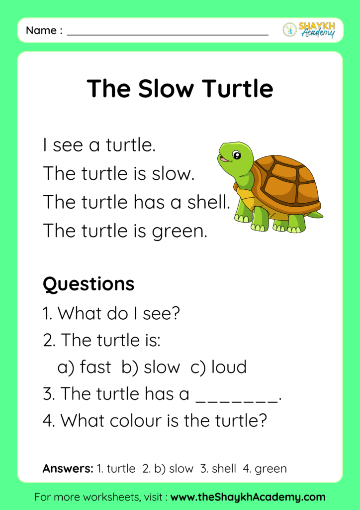 The Slow Turtle