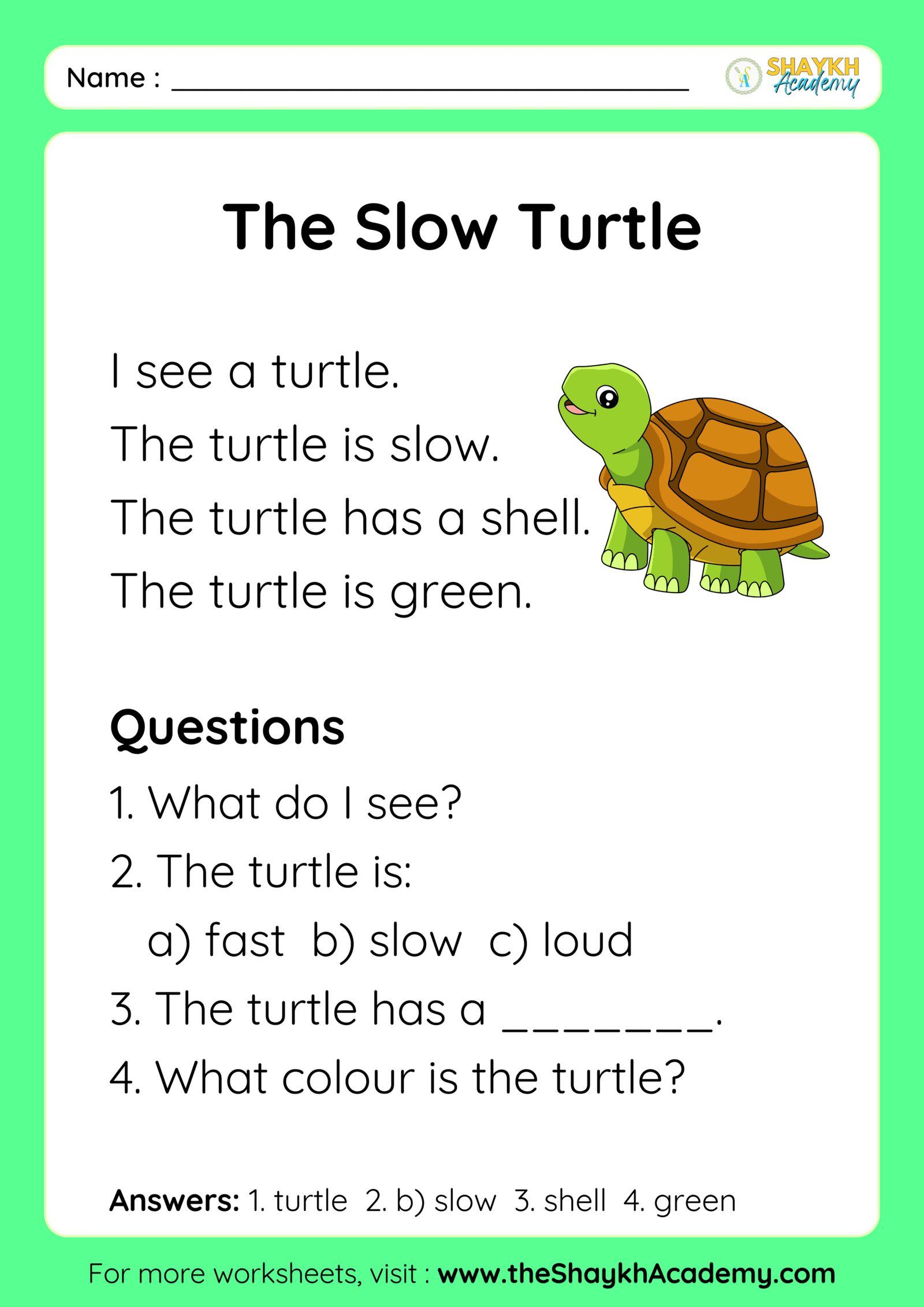 The Slow Turtle