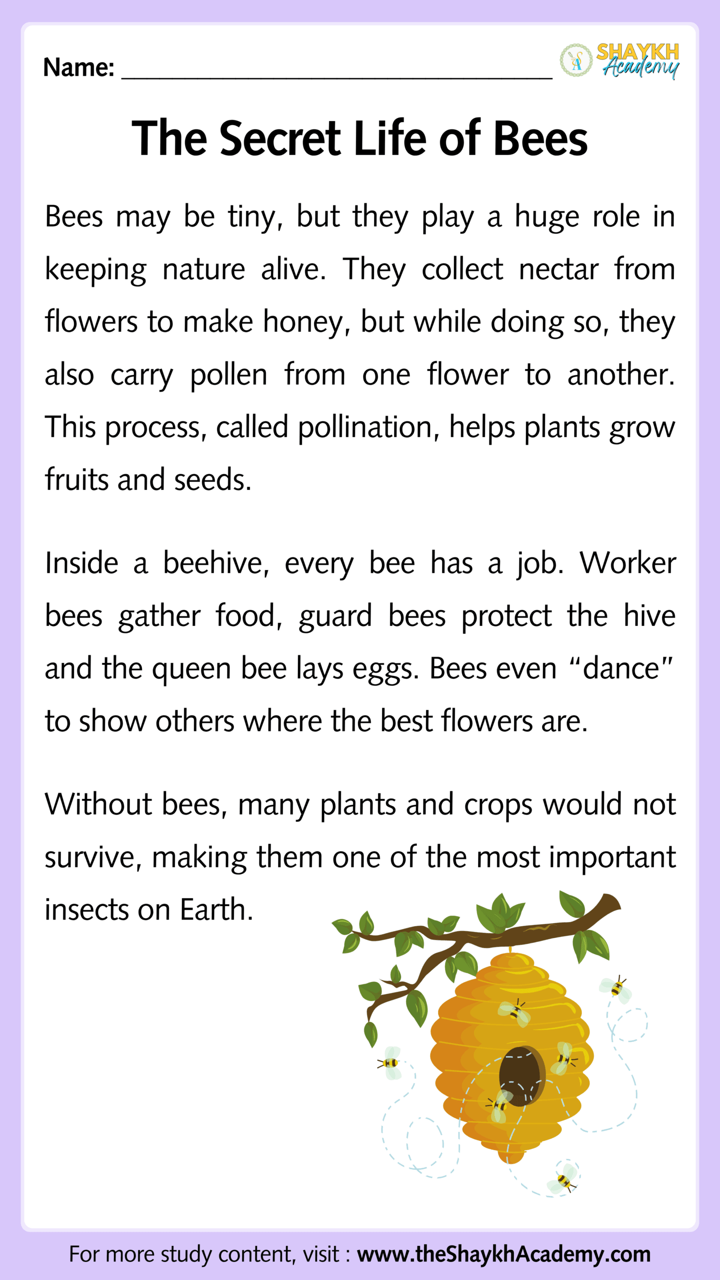 The Secret Life of Bees