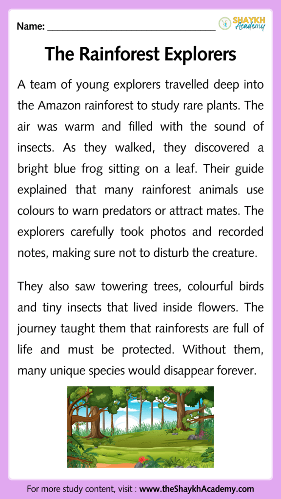 The Rainforest Explorers