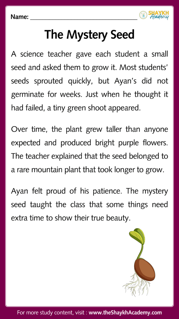 The Mystery Seed