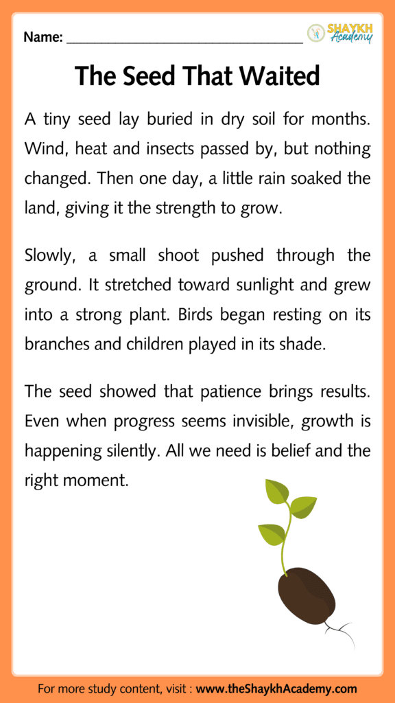 The Seed That Waited