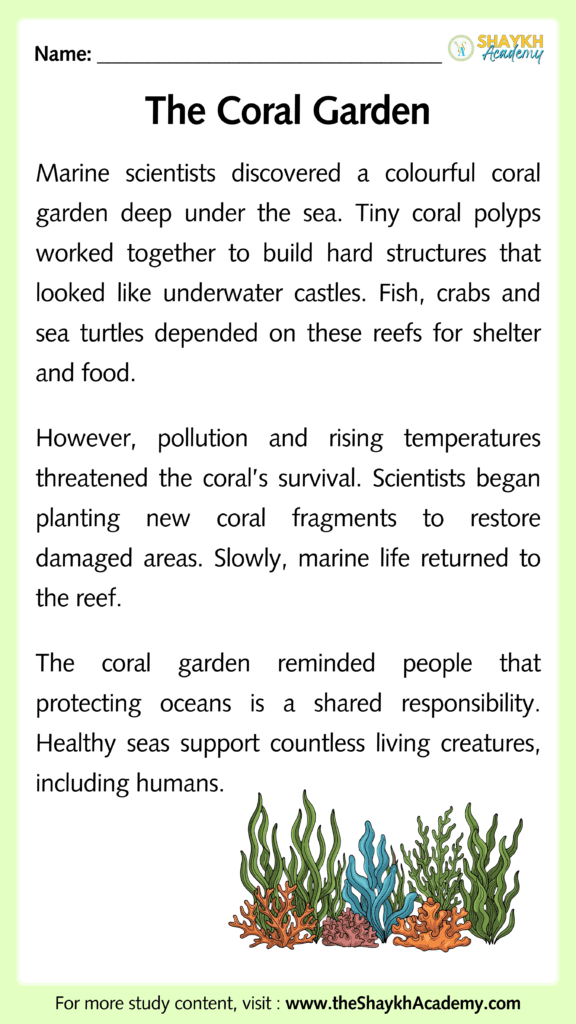 The Coral Garden