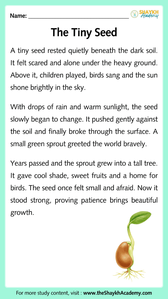 The Tiny Seed