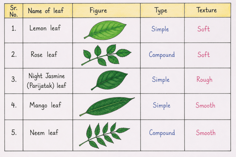 Lesson 4 – Our Green Companions