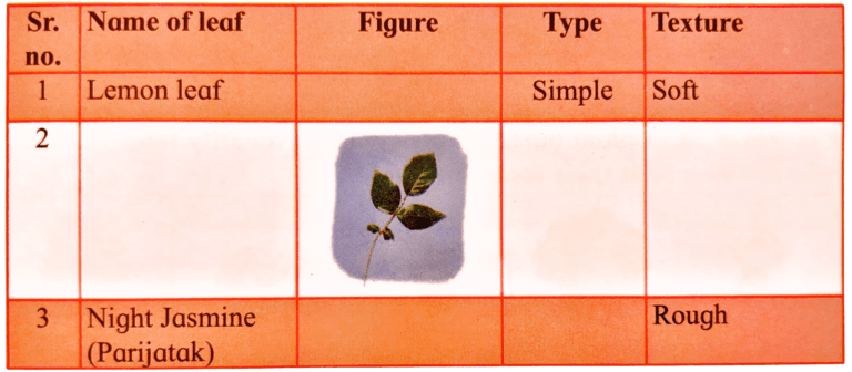Lesson 4 – Our Green Companions