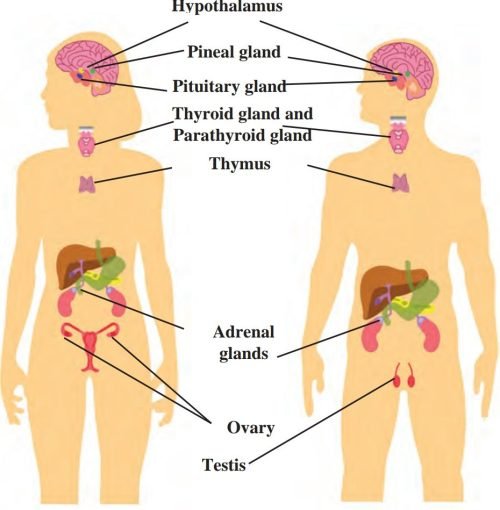 Screenshot_20221217-080803__01