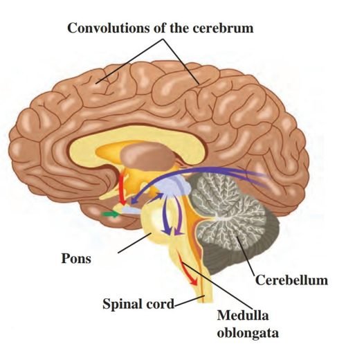 Screenshot_20221217-080823__01