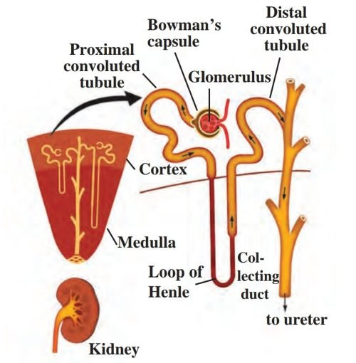 Screenshot_20221217-080842__01