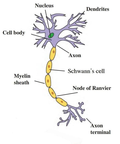 Screenshot_20221217-080857__01