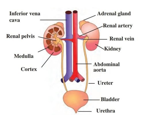 Screenshot_20221217-080918__01